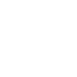 MSI-Partners_250