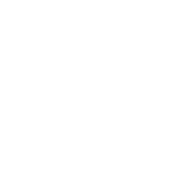 Stadt-Mannheim_250