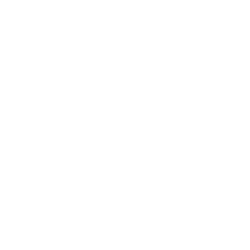 WMF-BKK_250